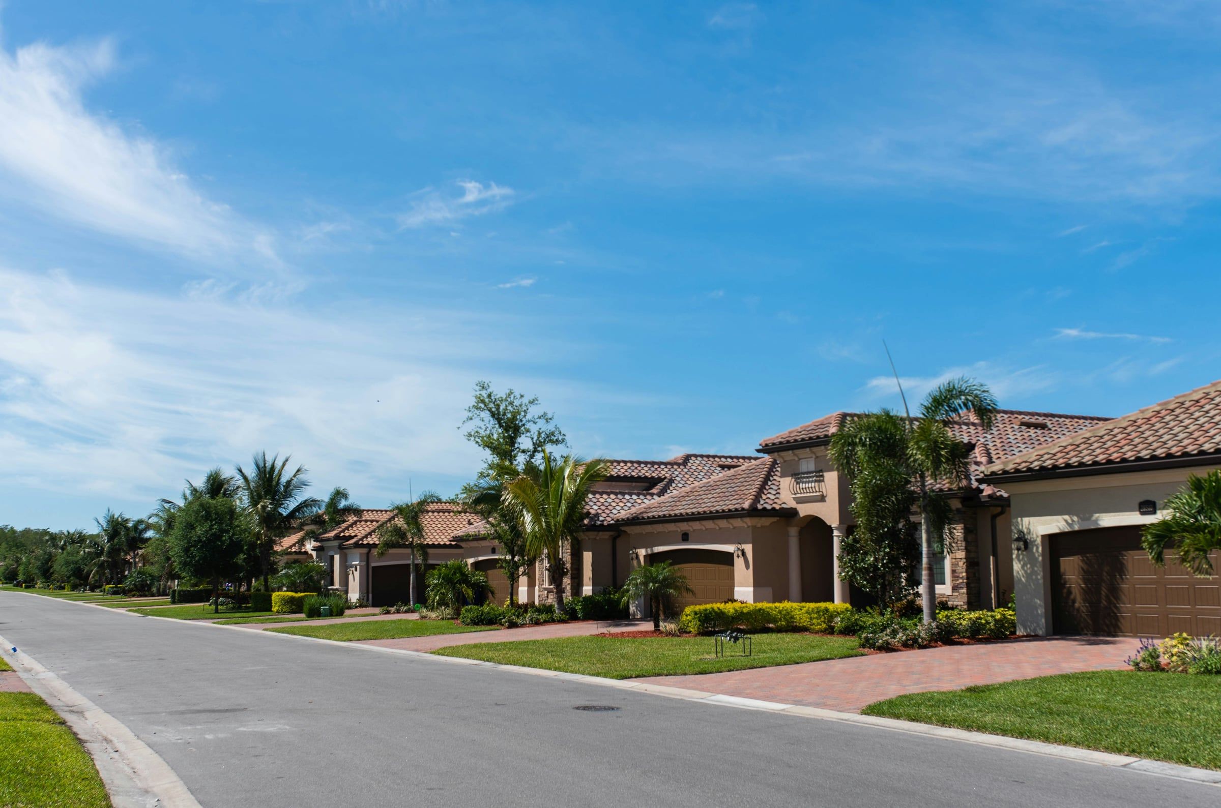 Florida residential street lined with stucco homes topped with terracotta-colored tile roofs and palm trees